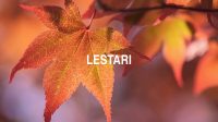 Lestari