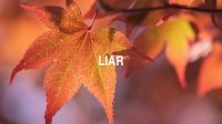 Liar
