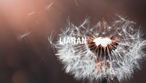Liaran