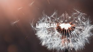 Limasan