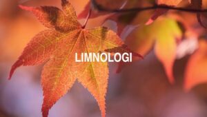 Arti Limnologi