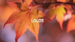 Lolos