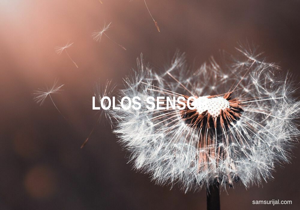 Arti Lolos Sensor