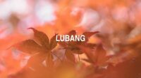 Lubang