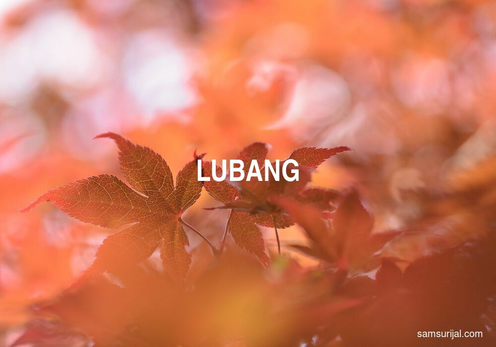 Arti Lubang