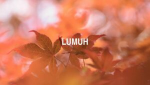 Arti Lumuh