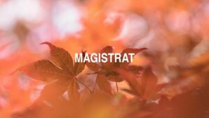 Magistrat