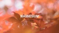 Magnesium