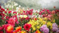 Makan Sekolah