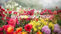 Makanan Energi Tinggi