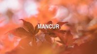 Mancur