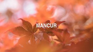 Arti Mancur
