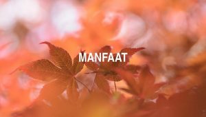 Arti Manfaat