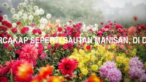 Arti Manis Mulutnya Bercakap Seperti Sautan Manisan Di Dalam Bagai Empedu
