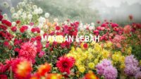 Manisan Lebah