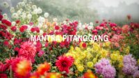 Mantra Pitanggang