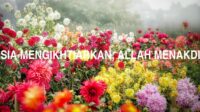 Manusia Mengikhtiarkan, Allah Menakdirkan