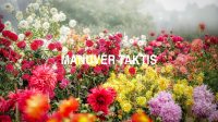 Manuver Taktis