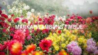 Markah Lambung Timbul