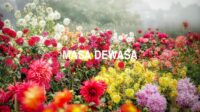 Masa Dewasa