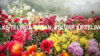 Masuk Ke Telinga Kanan, Keluar Ke Telinga Kiri