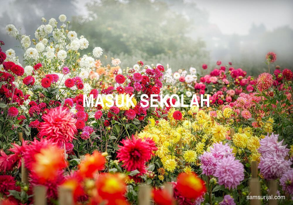 Arti Masuk Sekolah