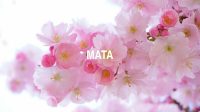 Mata