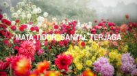 Mata Tidur, Bantal Terjaga