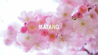 Matang