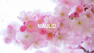 Arti Maulid