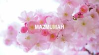 Mazmumah