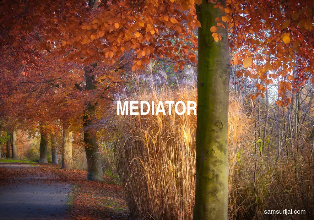 Arti Mediator