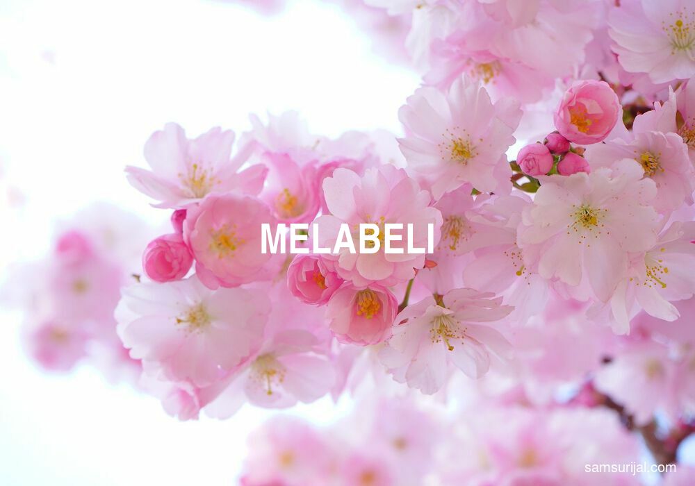 Arti Melabeli