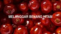 Melanggar Benang Hitam