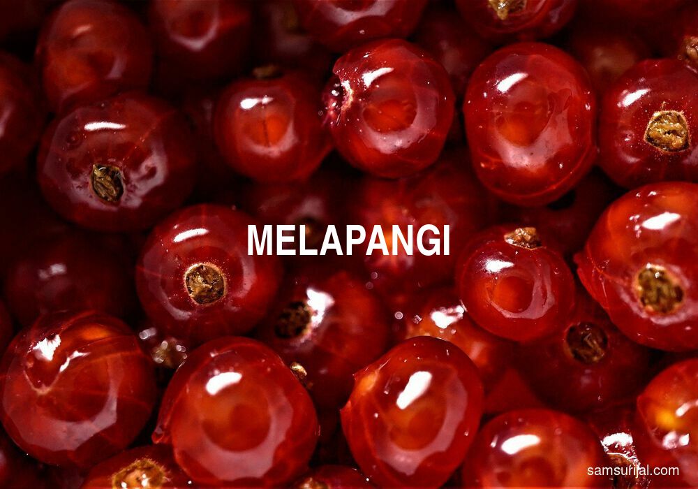 Arti Melapangi