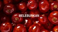Meleburkan