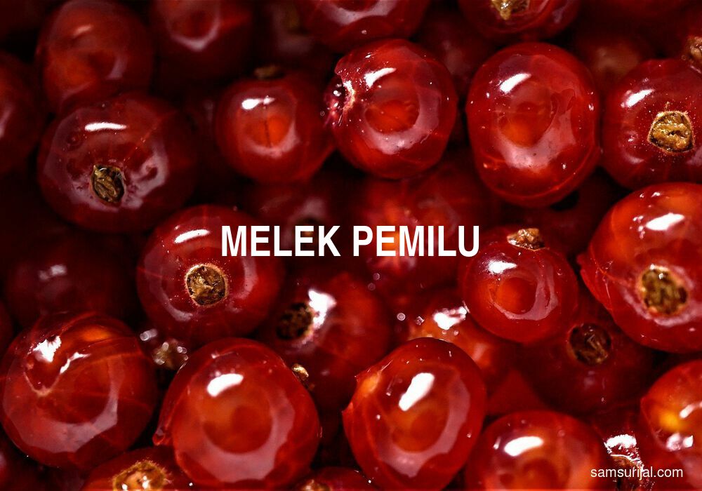 Arti Melek Pemilu