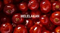 Melelakan