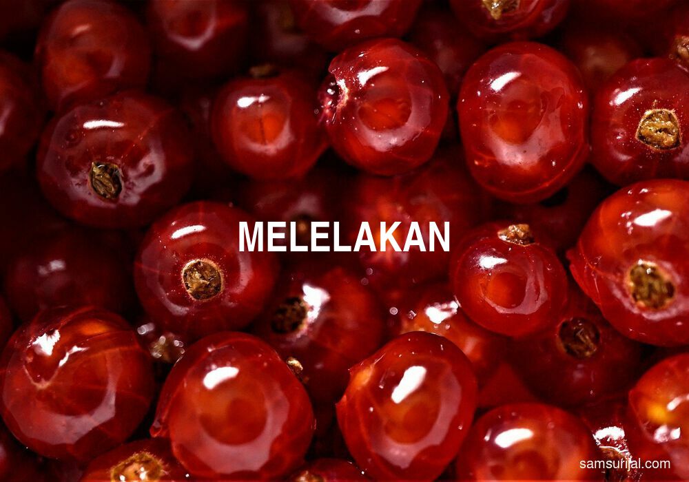 Arti Melelakan