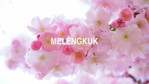 Melengkuk