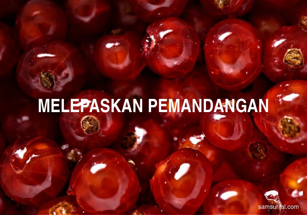 Arti Melepaskan Pemandangan