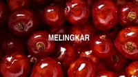 Melingkar