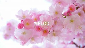 Arti Melodi