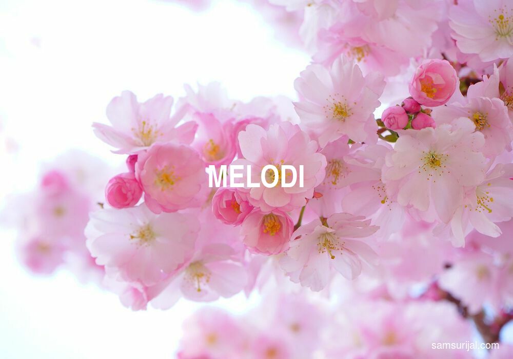 Arti Melodi