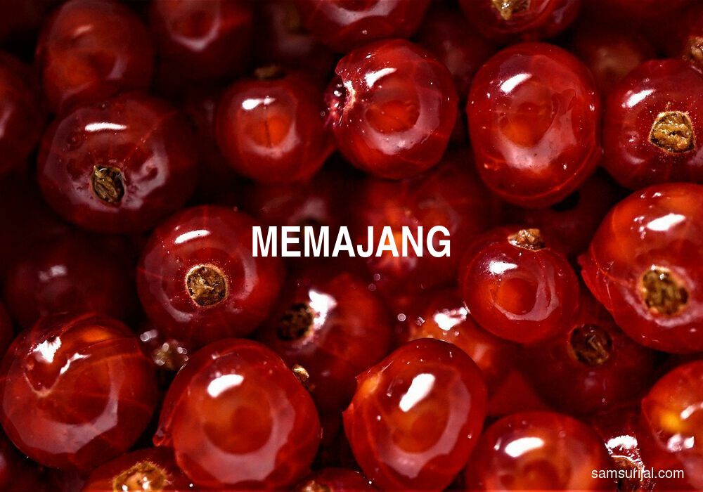 Arti Memajang