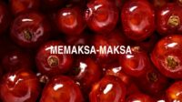Memaksa-Maksa