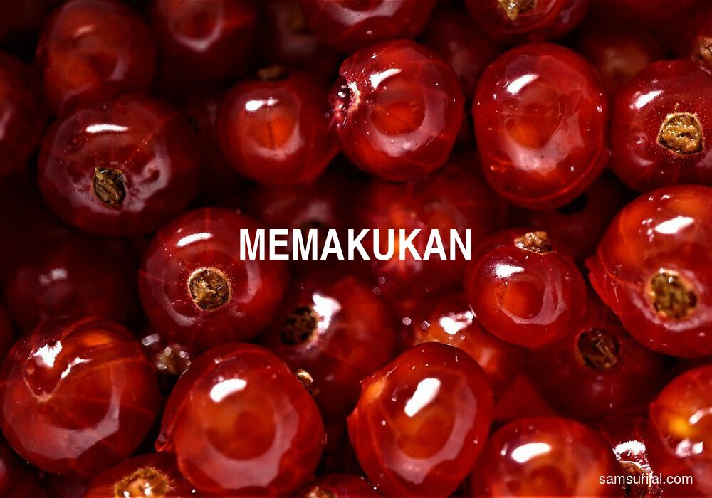 Arti Memakukan