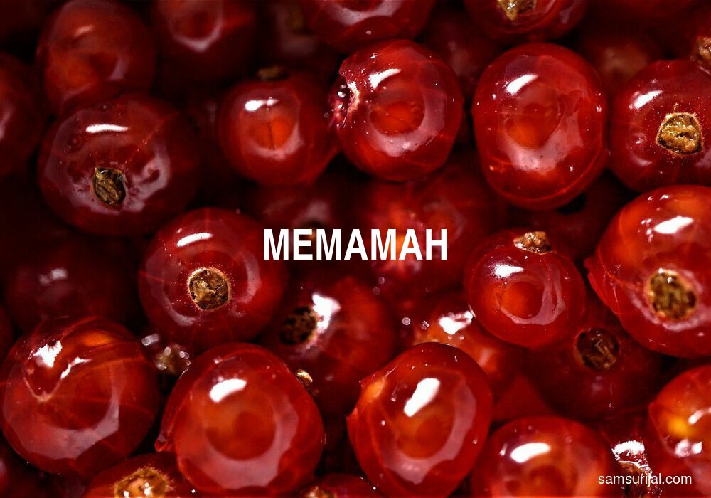 Arti Memamah
