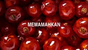 Memamahkan
