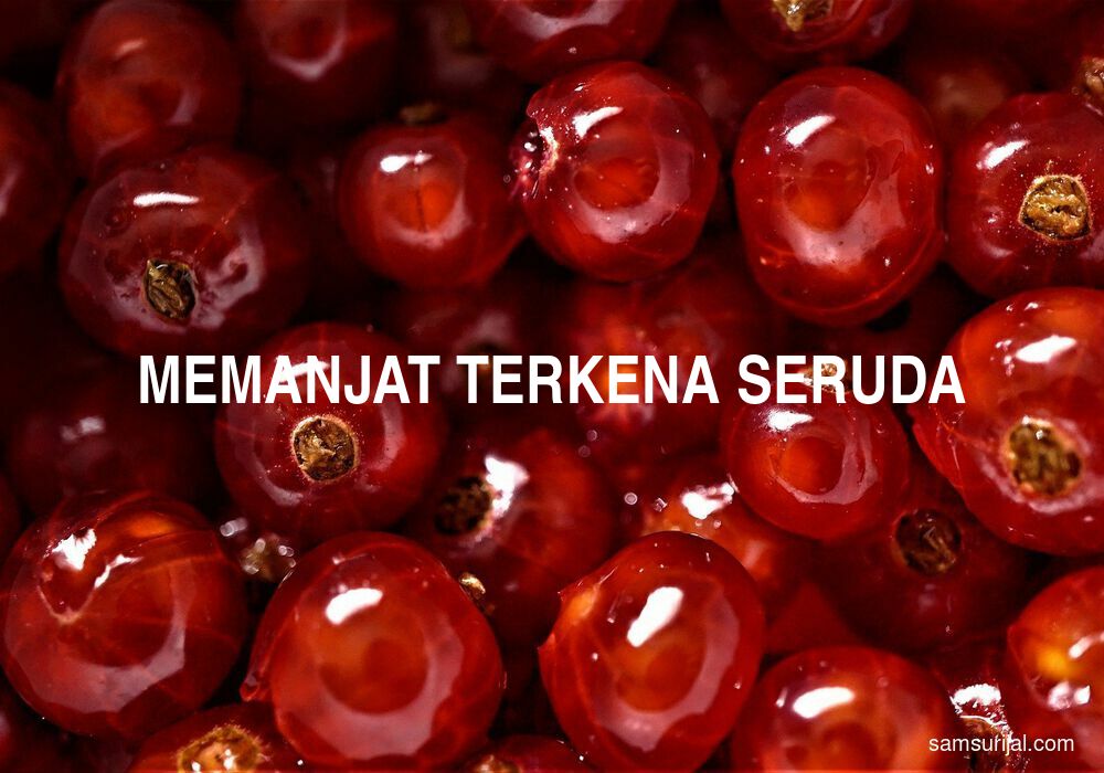 Arti Memanjat Terkena Seruda